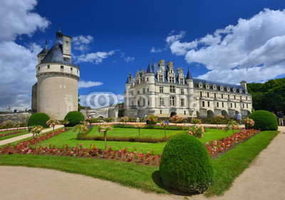 chateau de la loire ( chenonceau)