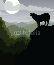 Fototapety Wolf Howling