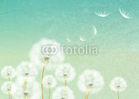 Naklejki Abstract background with flower dandelion