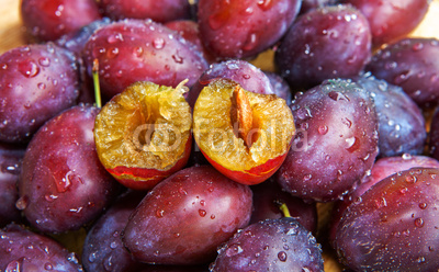 Zwetschgen-Prunus domestica