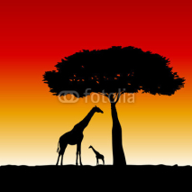 Obrazy i plakaty giraffe art vector silhouette illustration
