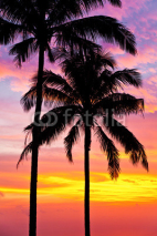 Naklejki palm trees on the background of a beautiful sunset