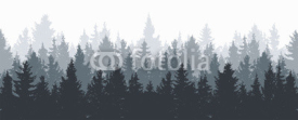 Fototapety vector forest background