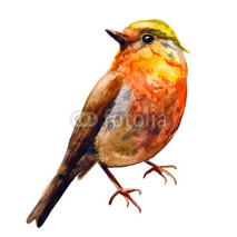 Naklejki Cute birds for your design. watercolor