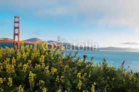 Fototapety Golden Gate Bridge 3