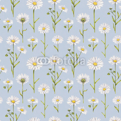 Chamomile flowers illustration. Watercolor seamless pattern