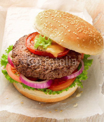 Burger pure beef