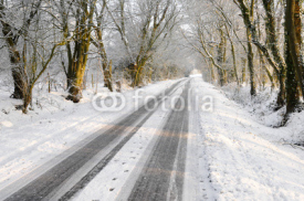 Vehicle tracks on snow covered country lane
