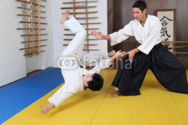 Fototapety Action Aikido.