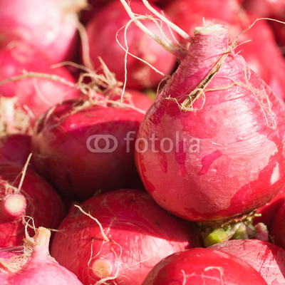 Radishes