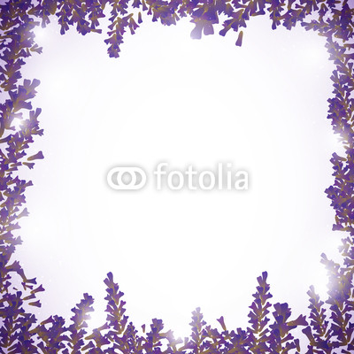 Vector Illustration of a Lavender Background