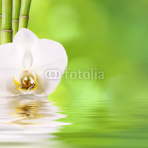 Fototapety flor y bambú, spa