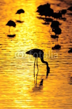Naklejki Sunrise at lake Nakuru, Kenya