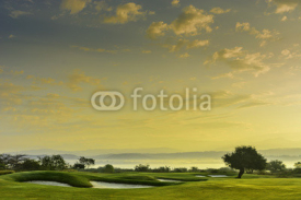 Fototapety Golf Greens