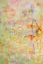 Fototapety Beautiful, delicate, artistic background with leaves