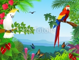 Obrazy i plakaty Bird in the beautiful forest