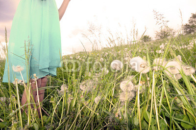 Girl  in blue dress in spring field