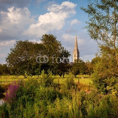 Evening summer sunshine on Salisbury Cathedral, Wiltshire