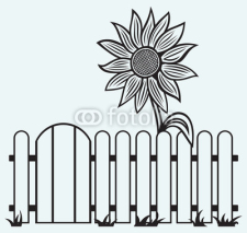 Naklejki Sunflower and fence isolated on blue batskground
