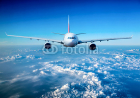 Naklejki Passenger Airliner in the sky