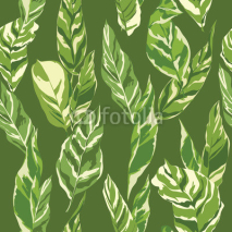 Fototapety Tropical Leaves Background - Vintage Seamless Pattern