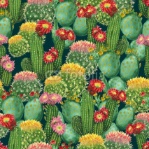Naklejki pattern with blooming cactuses
