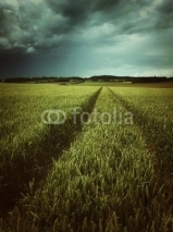 Fototapety Agriculture en France
