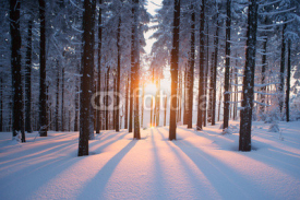 Obrazy i plakaty Sunset in the wood in winter period