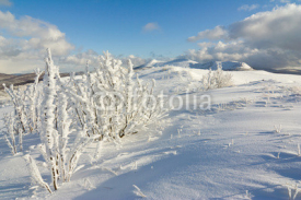 winter mountains landscape, Bieszczady National Park, Poland