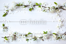 Background with flowering, blooming branches of plums, cherries