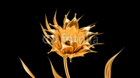 Fototapety Splash gold black background. 3d illustration, 3d rendering.