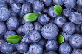 Obrazy i plakaty blueberries background