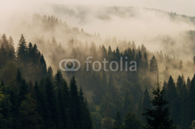 Fototapety Morning fog on the mountain slopes. Carpathian Mountains. Ukraine, Europe.