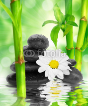 Fototapety spa Background -  black stones and bamboo on water