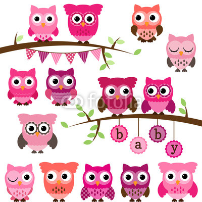 Vector Collection of Girl Baby Shower Themed Owls and Branches 