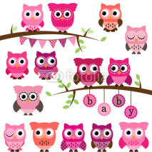 Fototapety Vector Collection of Girl Baby Shower Themed Owls and Branches 