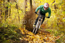 Naklejki Mountainbiker rides in autumn forest