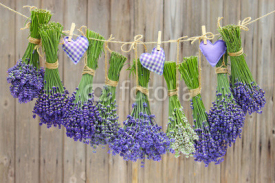 Fototapety lavendel