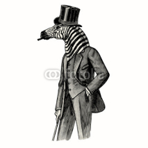 Fototapety Zebra man