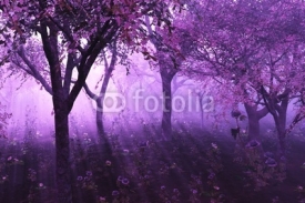 Naklejki Lavender Forest - 3d render