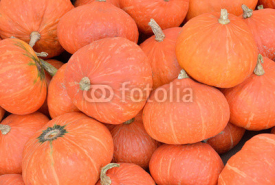 Naklejki fresh pumpkin