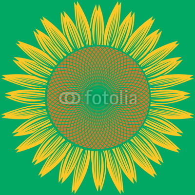 abstract sunflower vector