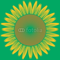 Naklejki abstract sunflower vector