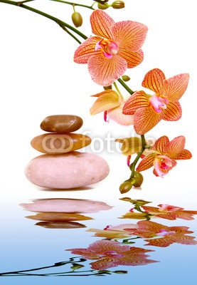 Massage stones and yellow orchid.