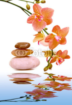 Fototapety Massage stones and yellow orchid.