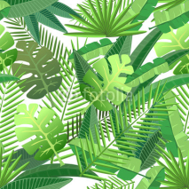 Obrazy i plakaty Tropical leaves seamless pattern