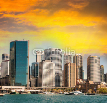 Obrazy i plakaty Skyscrapers of Sydney