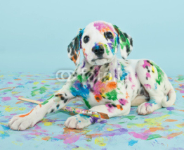 Naklejki Painted Puppy