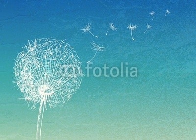 Abstract vintage background with flower dandelion