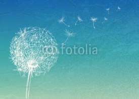 Naklejki Abstract vintage background with flower dandelion